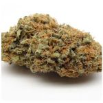 Шишки AK47 (Гидропоника, Бошка) VHQ в Моршанске Шишки AK47 (Гидропоника, Бошка) VHQ в Моршанске