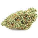 Шишки OG Kush (Гидропоника, бошки) VHQ в Моршанске Шишки OG Kush (Гидропоника, бошки) VHQ в Моршанске
